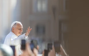 Imagen del Papa León XIV en la Audiencia General de este miércoles Crédito: Vatican Media
