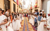 Alfombras de Serrín en Elche de la Sierra para el Corpus Christi