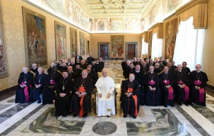 El Papa dirigió un discurso a los obispos y superiores generales de las congregaciones de los Padres Escalabrinianos y los Redentoristas Crédito: Vatican Media