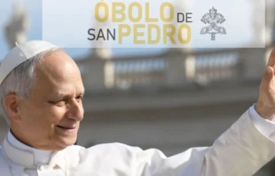 Este año la colecta lleva por lema: “Sé parte de los pasos de León XIV, haz tu donativo al Óbolo de San Pedro". Crédito: Vatican Media