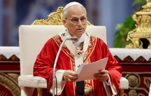 El Papa en la Misa celebrada por la solemnidad de los santos apóstoles Pedro y Pablo Crédito: Daniel Ibañez/ EWTN News