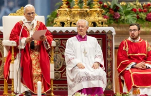 El Papa, en un momento de la homilía Crédito: Daniel Ibañez/ EWTN News