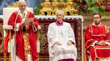 El Papa, en un momento de la homilía