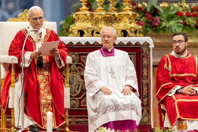 El Papa, en un momento de la homilía
