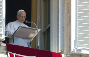 El Papa León XIV durante el ángelus de este domingo Crédito: captura de pantalla Vatican Media