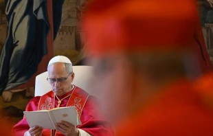 El Papa, en el consistorio público que ha presidido esta mañana Crédito: Vatican Media