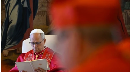 El Papa, en el consistorio público que ha presidido esta mañana