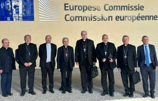 El Comité Ejecutivo de la Conferencia Episcopal Española (CEE) realizó una visita oficial a las instituciones de la Unión Europea Crédito: COMECE
