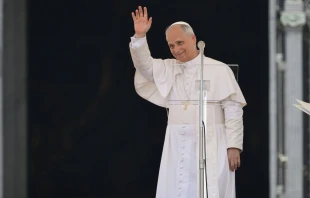 El Papa León XIV en una imagen de archivo Crédito: Vatican Media