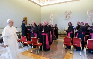 León XIV recibió a los obispos de Madagascar este 16 de junio en el Vaticano Crédito: Vatican Media