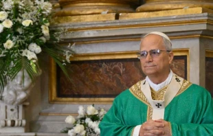 El Papa León XIV se trasladó a Castel Gandolfo el pasado 6 de julio Crédito: Vatican Media