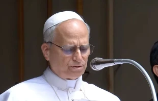 El Papa durante su primer Ángelus en Castel Gandolfo, en julio. Crédito: Captura de pantalla. Vatican Media