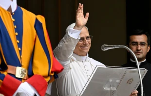 El Papa junto a su secretario, el sacerdote peruano Edgar Iván Rimaycuna, en Castel Gandolfo Crédito: Vatican Media