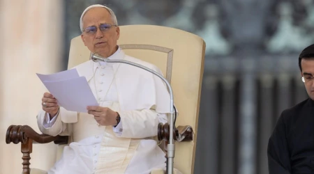 El Papa en una imagen de archivo durante una Audiencia General