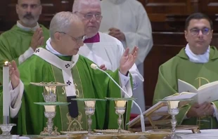 El Papa durante la Misa Crédito: captura de pantalla Vatican Media