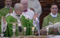 El Papa durante la Misa