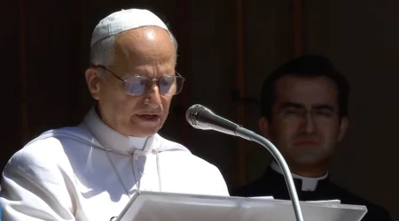 El Papa reza el ángelus en Castel Gandolfo