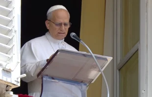 León XIV se asomó a la ventana del Palacio Apostólico para rezar el Ángelus Crédito: captura de pantalla Vatican Media