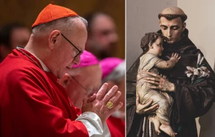 Cardenal Timothy Dolan, Arzobispo de Nueva York, envió un cálido mensaje a los fieles a propósito de la festividad de San Antonio de Padua el 13 de junio de 2025. Crédito: Daniel Ibáñez - EWTN News / J.A. Dunbar - Shutterstock