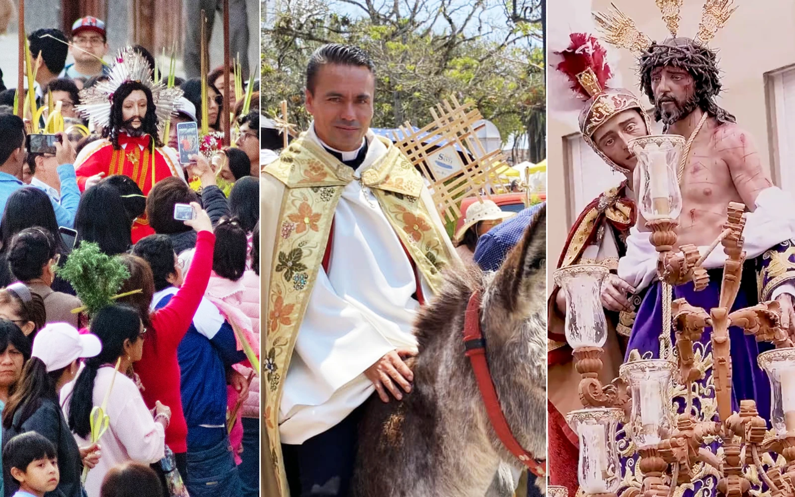 Domingo de Ramos 2024?w=200&h=150