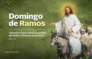 null Domingo de Ramos 2025 / ACI Prensa