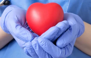 Donación de órganos. Crédito: Csaba Deli / Shutterstock