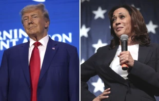 Donald Trump y Kamala Harris Crédito: Greg Skidmore CC BY-SA 2.0 / Greg Skidmore CC BY-SA 2.0