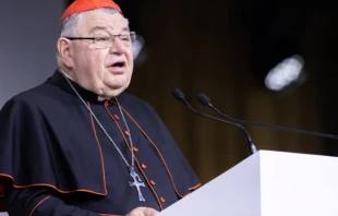 Cardenal Dominik Duka, Arzobispo emérito de Praga. Crédito: Daniel Ibáñez / EWTN News.