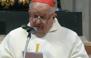 El Cardenal Stanisław Dziwisz fue el secretario personal de San Juan Pablo II durante 39 años Crédito: captura de pantalla Vatican Media