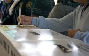 Imagen referencial. Crédito: Wikipedia / ProtoplasmaKid.