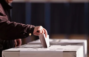 null Crédito: roibu/Shutterstock.