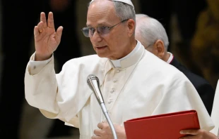 El Papa León XIV publicó este miércoles su primer mensaje en la red social X Crédito: Vatican Media
