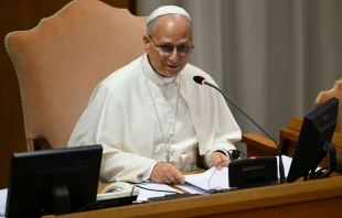 El Papa recibe en el Vaticano a los jesuitas Crédito: Vatican Media