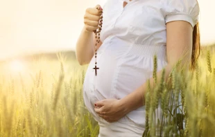 null Crédito: Ground Picture/Shutterstock.