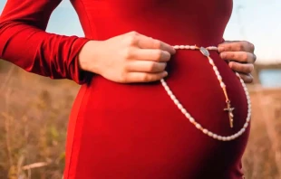 Imagen referencial. Cru00e9dito: Nina Hill (Unsplash). 