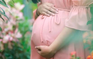 Imagen referencial. Cru00e9dito: Pixabay 