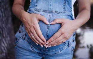 Imagen referencial. Crédito: Robster_91 / Pixabay