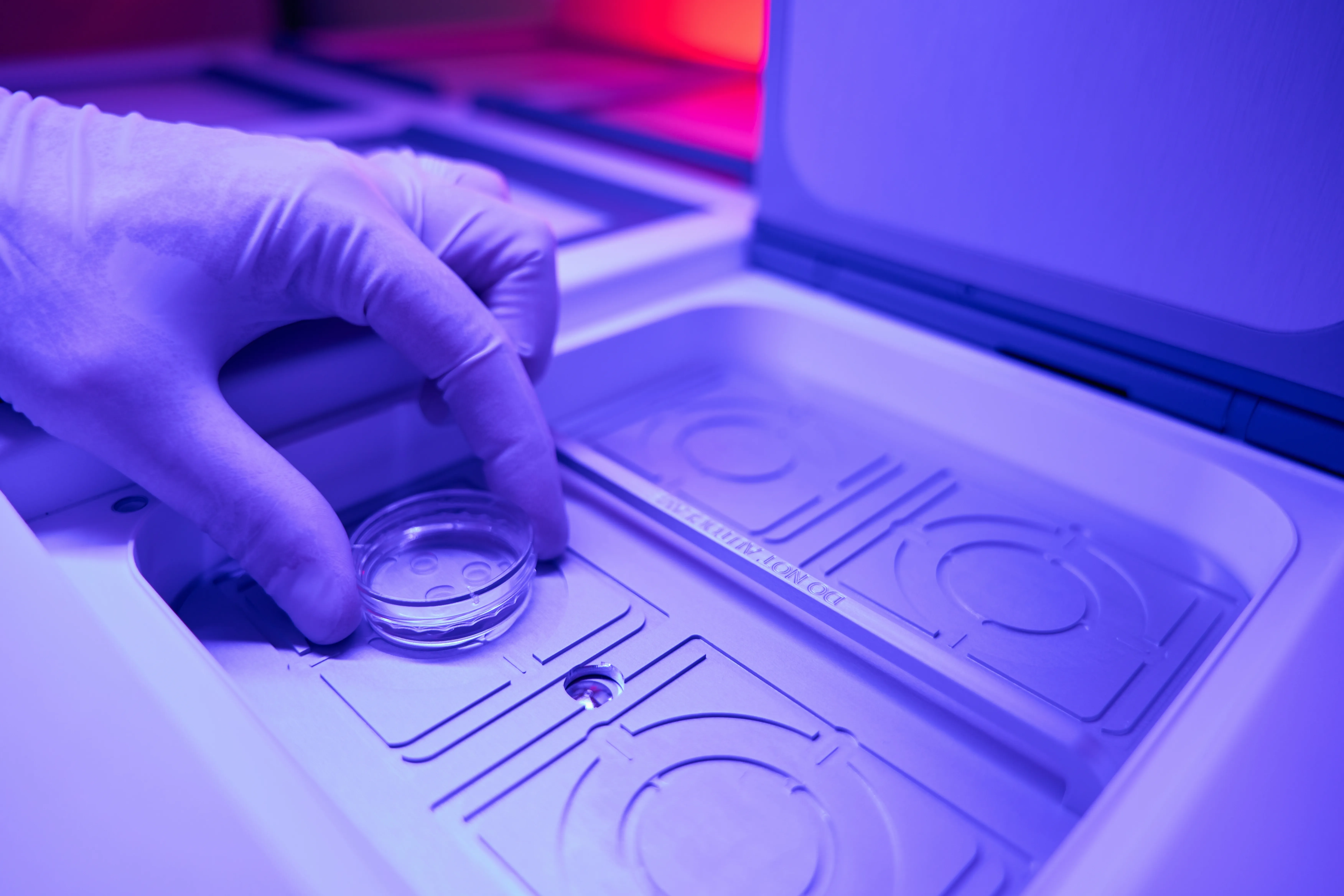 Trabajador de laboratorio que coloca embriones en cámara de congelación.?w=200&h=150