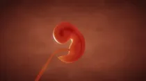 Captura de un vídeo que explica el desarrollo embrionario de las 8 primeras semanas de embarazo.