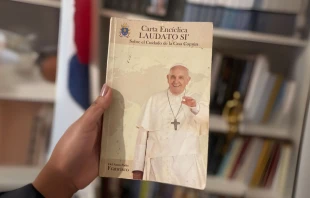 Laudato si’, la encíclica del Papa Francisco sobre el cuidado de la casa común, cumple diez años Crédito: Instagram 'entrelibrosrd'