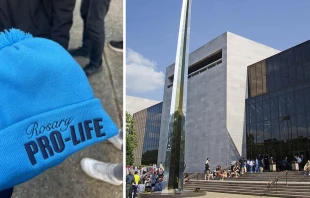 Gorro provida que usaban los estudiantes cuando fueron expulsados del museo. Cru00e9dito: @KihneSheila | Museo Nacional del Aire y el Espacio del Smithsonian. Cru00e9dito: Wikimedia / Dominio pu00fablico 