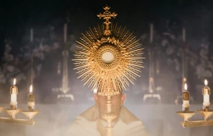 Los católicos que participen en la Peregrinación Eucarística Nacional y en el Congreso Eucarístico Nacional en Estados Unidos podrán recibir indulgencias plenarias. Crédito: Jacob Bentzinger / Unsplash.