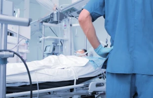 Imagen referencial Crédito: Shutterstock