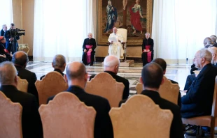 Imagen de la aundiencia con el Dicasterio para la Evangelización Crédito: Vatican Media
