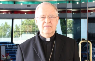 Fallece en Roma el Cardenal alemán Paul Josef Cordes, a los 89 años. Crédito: Álvaro de Juana /  ACI Prensa