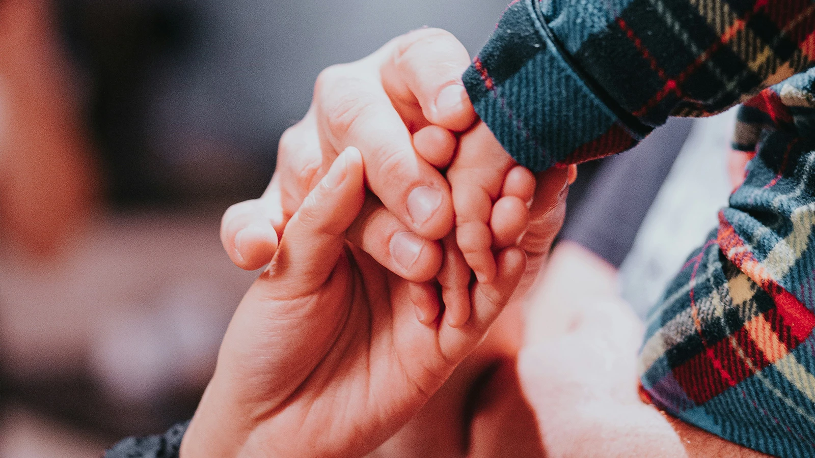 Los ciudadanos deberán decidir sobre una modificación al artículo 41.1.1, que actualmente define a la familia como “basada en el compromiso público, exclusivo y vitalicio del Matrimonio”.?w=200&h=150