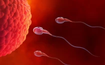 ¿En qué momento comienza la vida humana? Desde hace décadas la ciencia ha tenido una clara respuesta: la fecundación.