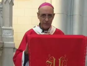 Cardenal Fernández prepara documento sobre el discernimiento de las apariciones que ya está “siendo terminado”