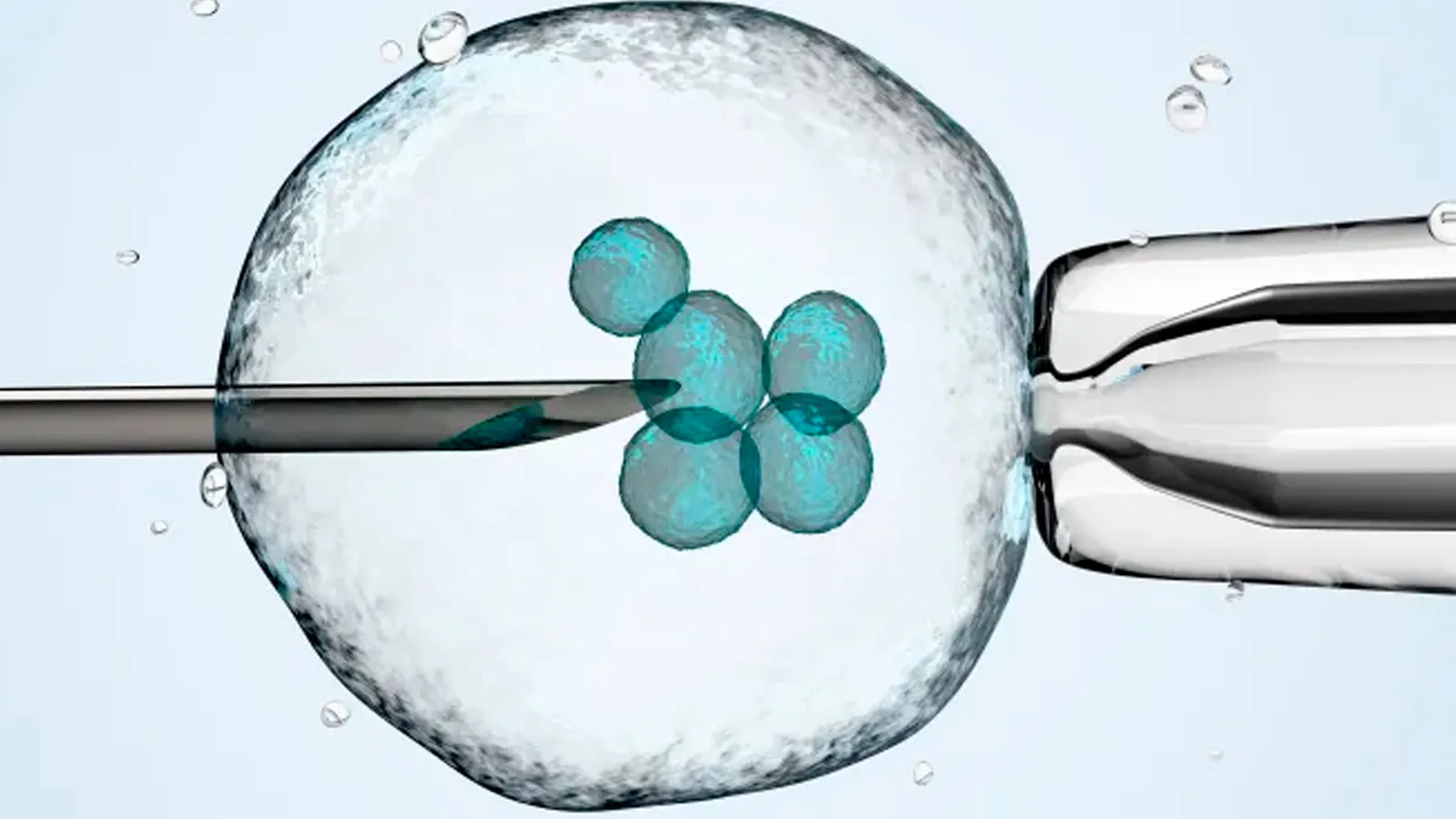 La Corte Suprema del estado de Alabama (Estados Unidos), dictaminó que los embriones creados mediante fertilización in vitro (FIV) son niños humanos.?w=200&h=150