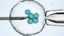 La Corte Suprema del estado de Alabama (Estados Unidos), dictaminó que los embriones creados mediante fertilización in vitro (FIV) son niños humanos.